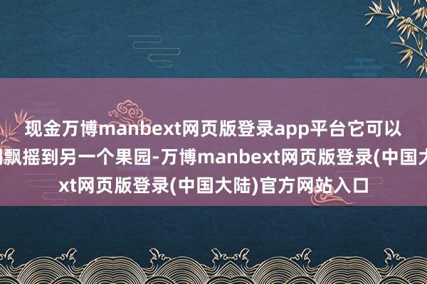 现金万博manbext网页版登录app平台它可以方便地从一个果园飘摇到另一个果园-万博manbext网页版登录(中国大陆)官方网站入口