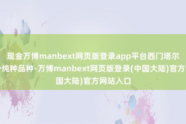 现金万博manbext网页版登录app平台西门塔尔牛是一个纯种品种-万博manbext网页版登录(中国大陆)官方网站入口